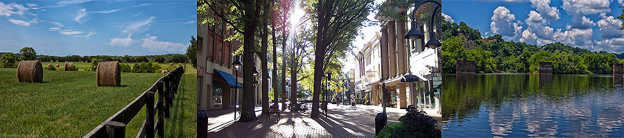 Central Virginia Real Estate & Community Guides